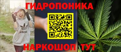 дурь Краснознаменск