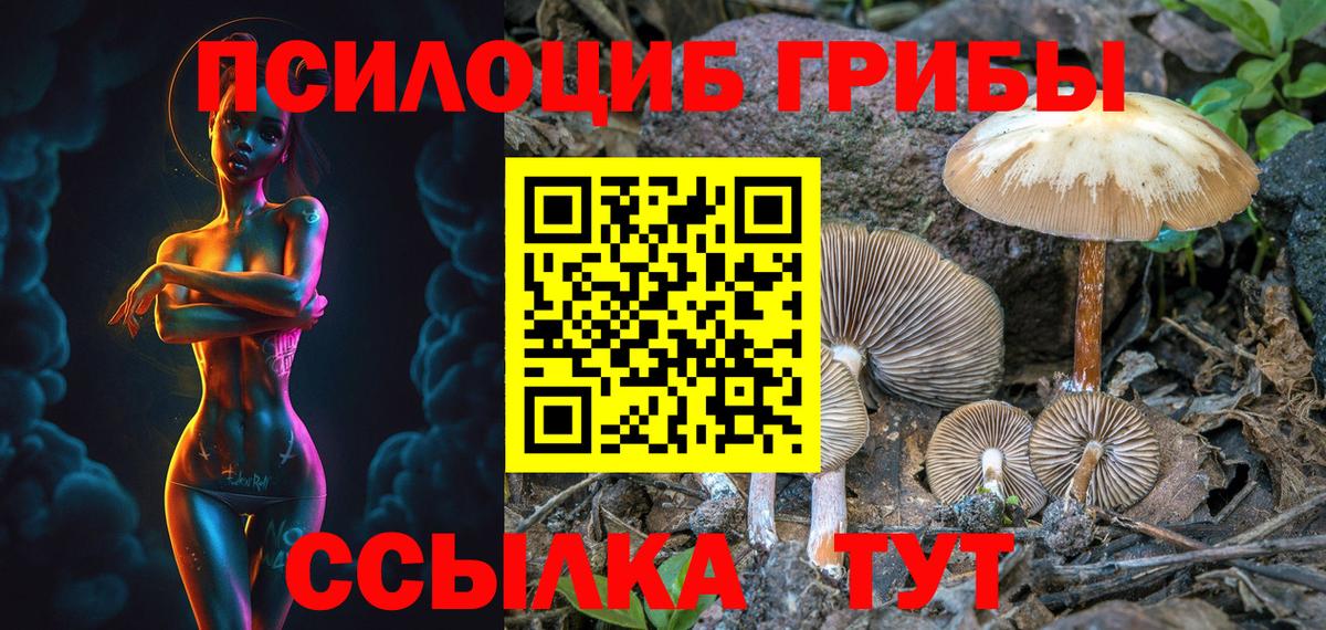 Псилоцибиновые грибы мухоморы  Вход с VPN  Вятские Поляны 